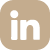 LinkdeIn icon